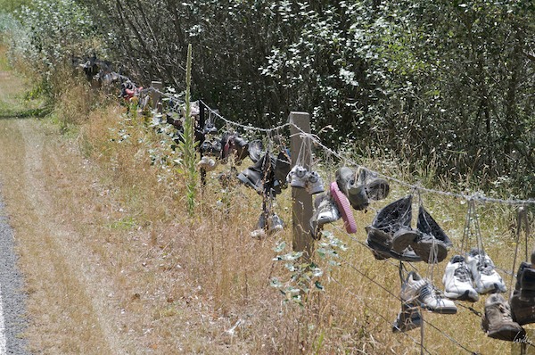 NewZealand 09 10  084